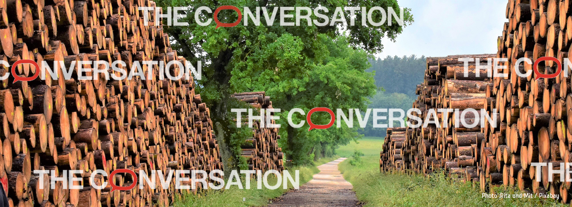 The Conversation